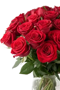 Imagen PNG para descargar